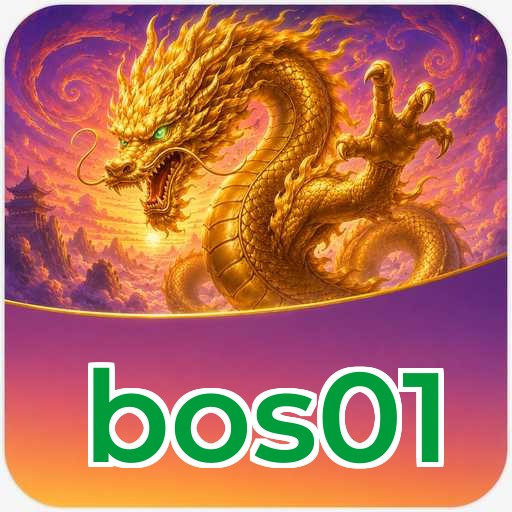 Troubleshooting - bos01 Optimization Tips