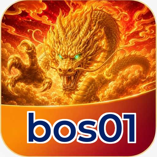 Developer Info bos01