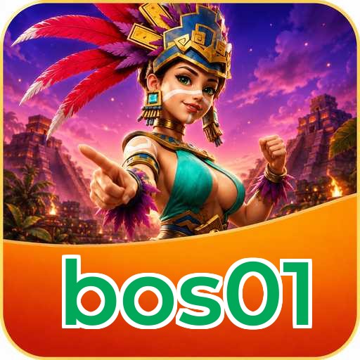 Version History bos01